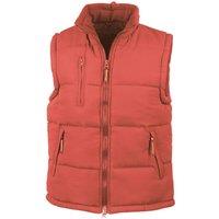 https://www.burton.co.uk/product/result-padded-body-warmer_p-ec2032fd-afec-4015-85d3-140043172642?colour=Red&size=XXL