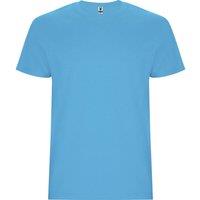 https://www.burton.co.uk/product/roly-stafford-t-shirt_p-d32a444a-b071-4295-bf56-7b275346cf9f?colour=Turquoise&size=XXXL