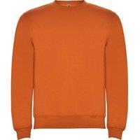 https://www.burton.co.uk/product/roly-clasica-crew-neck-sweatshirt_p-4bd2ef8a-38d5-4868-b433-79c8c16899b2?colour=Orange&size=L