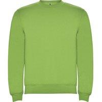 ROLY Men Clasica Crew Neck Sweatshirt in Green | Size: large