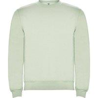ROLY Men Clasica Crew Neck Sweatshirt in Light Green | Size: X-Small
