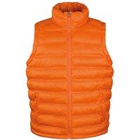 https://www.burton.co.uk/product/result-ice-bird-padded-bodywarmer-gilet-jacket_p-e6d4ed15-4c99-463a-9665-a9849129ccc7?colour=Orange&size=L