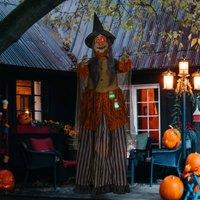 https://www.burton.co.uk/product/homcom-outdoor-halloween-animatronic-with-sound-activated-light-up-eyes_p-5f3adda1-650c-45bb-bb6b-7435b18c97b6?colour=Multi&size=One%20Size