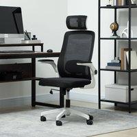 https://www.burton.co.uk/product/homcom-executive-office-chair-ergonomic-mesh-desk-chair-with-lumbar-support_p-d1b49c26-2f12-4e19-8948-8af2f71f0b1d?colour=Black&size=One%20Size