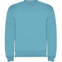 ROLY Men Clasica Crew Neck Sweatshirt in Turquoise | Size: X-Small