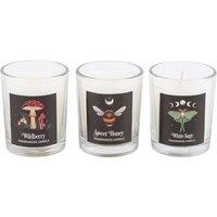 https://www.burton.co.uk/product/something-different-dark-forest-trio-votive-candles-pack-of-3_p-9b278444-879c-4bb5-8206-f512baf0bd9a?colour=White&size=One%20Size