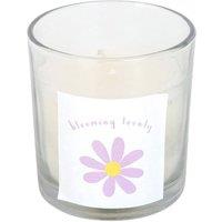 https://www.burton.co.uk/product/something-different-blooming-lovely-wildflower-daisy-scented-candle_p-1824f543-3a51-446d-a99c-c90cce166aa3?colour=White&size=One%20Size