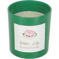 https://www.burton.co.uk/product/something-different-water-lily-scented-candle_p-ce8d08b2-c944-4544-bfac-cbbc4aa626db?colour=Green&size=One%20Size