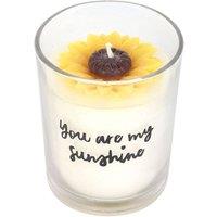 https://www.burton.co.uk/product/something-different-you-are-my-sunshine-sunflower-candle_p-c77a8004-ffa8-46ee-83c0-449f922e88b8?colour=White&size=One%20Size