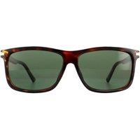 https://www.burton.co.uk/product/polaroid-rectangle-dark-havana-green-polarized-sunglasses_p-b2c04f49-6bca-4408-8f9d-6d542429e4ef?colour=Brown&size=One%20Size