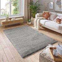 https://www.burton.co.uk/product/smart-living-soft-fluffy-5cm-thick-pile-shaggy-area-rugs-for-living-room-bedroom_p-64c8de43-78b1-4797-a089-e1ed6c15e6a0?colour=Silver&size=60cm%20x%20110cm