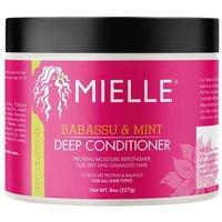 https://www.burton.co.uk/product/mielle-babassu-mint-deep-conditioner-227ml_ydd15186?colour=multi&size=One%20Size