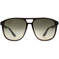 BMW Men Aviator Dark Havana Green Gradient Polarized BW0001 Sunglasses in Brown