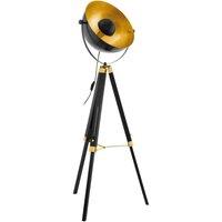 Eglo Covaleda Black and Gold Floor Lamp