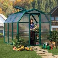 6'x6' Palram Canopia Rion EcoGrow Small Green Polycarbonate Greenhouse (1.8x1.8m)