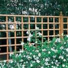 Forest 6' x 1' Heavy Duty Square Garden Trellis Fence Panel (1.83m x 0.3m)