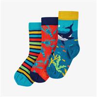 Rock My Socks 3 Pack Infant Size 9-12