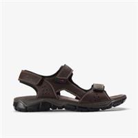 Clarks Mens Napoli Tide Brown Flat Sandals,Fisherman Sandals Synthetic Casual