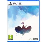 PLAYSTATION Gris - PS5