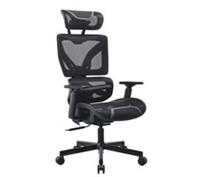 ADX Ergonomic X 24 Gaming Chair - Black and Grey