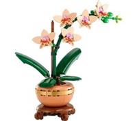 LEGO Botanicals 10343 Mini Orchid Home Dcor Set for Adults - BOX DAMAGE