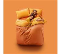 SILENTNIGHT Yours & Mine Dual Control Electric Blanket - Double