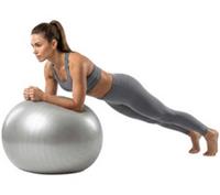 GOJI Gym ball - 65 cm Silver-BOX DAMAGE