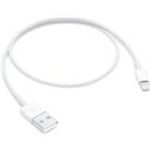 APPLE Lightning to USB cable - 0.5 m, White