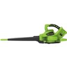 GREENWORKS GD24X2BV Garden Vacuum & Leaf Blower - Black & Green