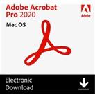ADOBE Acrobat Pro 2020 - 1 user (download)