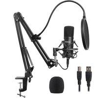 PROSOUND PROS-04AUA Microphone & Boom Arm - Black, Black