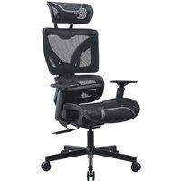 ADX Ergonomic X 24 Gaming Chair - Black & Grey, Black,Silver/Grey