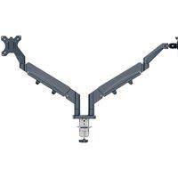 LEITZ Ergo Dual Arm Tilt & Swivel 17-32" Monitor Desk Mount