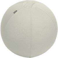 LEITZ Ergo Active Sitting Ball - Grey, 55 cm