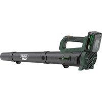 WEBB Eco WEV20ABB4 Cordless Leaf Blower - Black & Green
