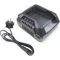HYUNDAI HYCH405 40 V Garden Machinery Fast Battery Charger