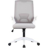 ZEN Light ZENICE25 Gaming Chair - Graphite, Silver/Grey