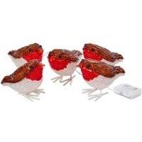 SMART GARDEN InLit Ice Robin Lights - Set of 5