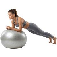 Goji Gym ball - 65 cm, Silver, Silver/Grey