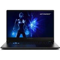 MEDION Erazer Defender P10 17.3 Gaming Laptop - Intel Core 9, RTX 5070, 1 TB SSD, Black