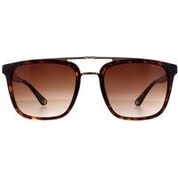 Police Men's Square Havana & Gold Brown Gradient SPLB41 Origins 35 Sunglasses