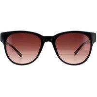 Ted Baker Men's Round Black Brown Gradient TB1627 Ware