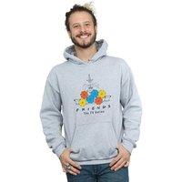Friends Men's Fountain & Umbrellas Hoodie in Grey | Size: 5XL