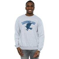 Harry Potter Men's Ravenclaw Sweatshirt in Grey | Size: 3XL