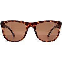 Police Men's Rectangle Matte Dark Havana Brown SPL357 Blackbird Light 2 Sunglasses