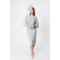 Coast Women's Embellished Pencil Midi Dress in Sage | Size: 10