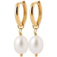 Harfi Women's 18ct Gold Vermeil Pearl Mini Hoop Huggie Earrings