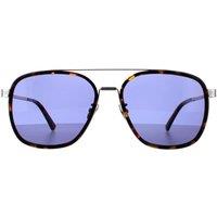 Aviator Dark Havana Blue SPLC49 Lewis 21 Sunglasses