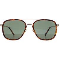 Aviator Shiny Red Havana Green SPLC49 Lewis 21 Sunglasses