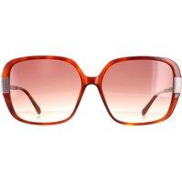 Ted Baker Women's Square Tortoise Brown Brown Gradient TB1616 Indi